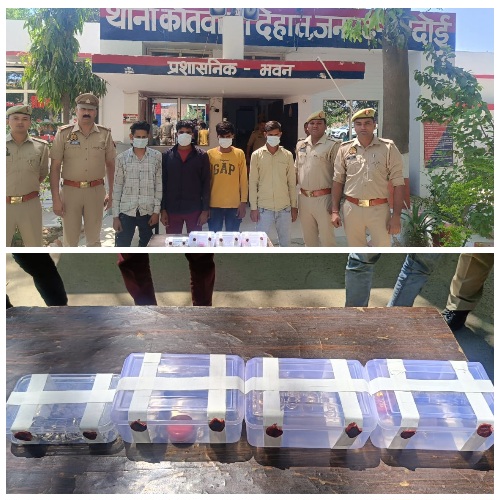 सर्राफा दुकान में हुई चोरी का पुलिस ने किया खुलासा चार को किया गिरफ्तार