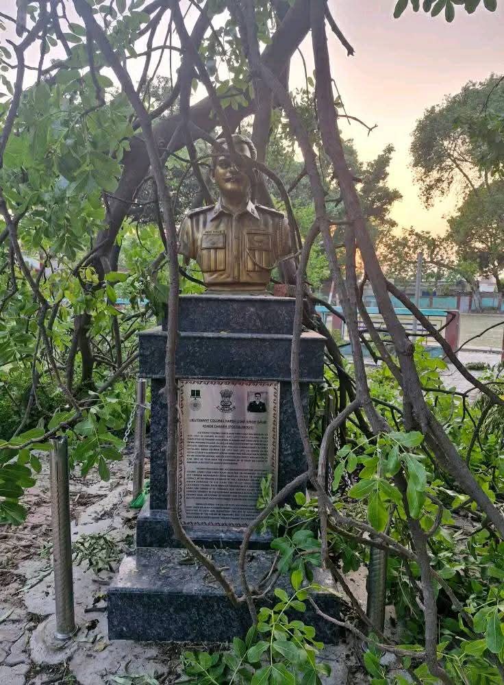 शहीद ले कर्नल उदय सिंह गौर की प्रतिमा पर आंधी से गिरे हुए पेड़ को तीन दिन बीत जाने के बाद भी नही हटाया गया प्रशासन की घोर लापरवाही 