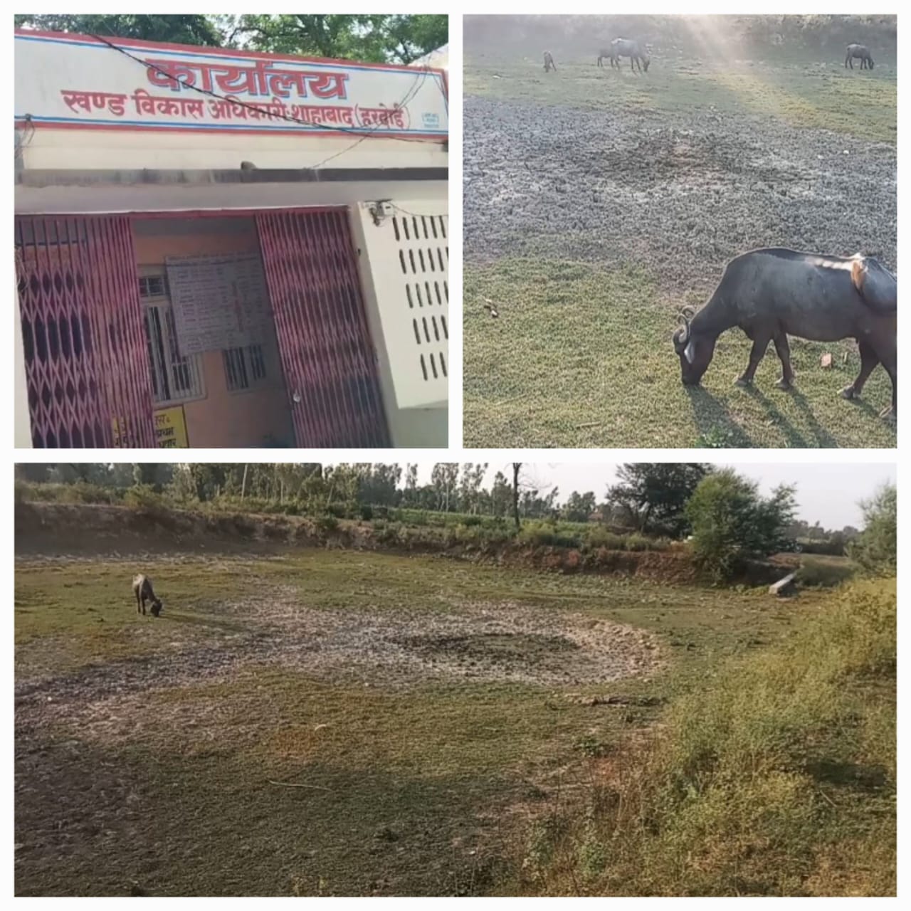 हरदोई में अमृत सरोवर योजना बनी मजाक