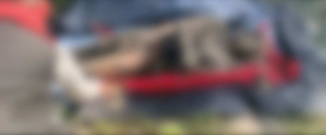 संदिग्ध परिस्थितियों में युवक का नहर के किनारे गड्डे से युवक का शव बरामद 