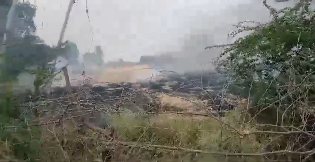 गेहूं की खड़ी फसल में लगी भीषण आग