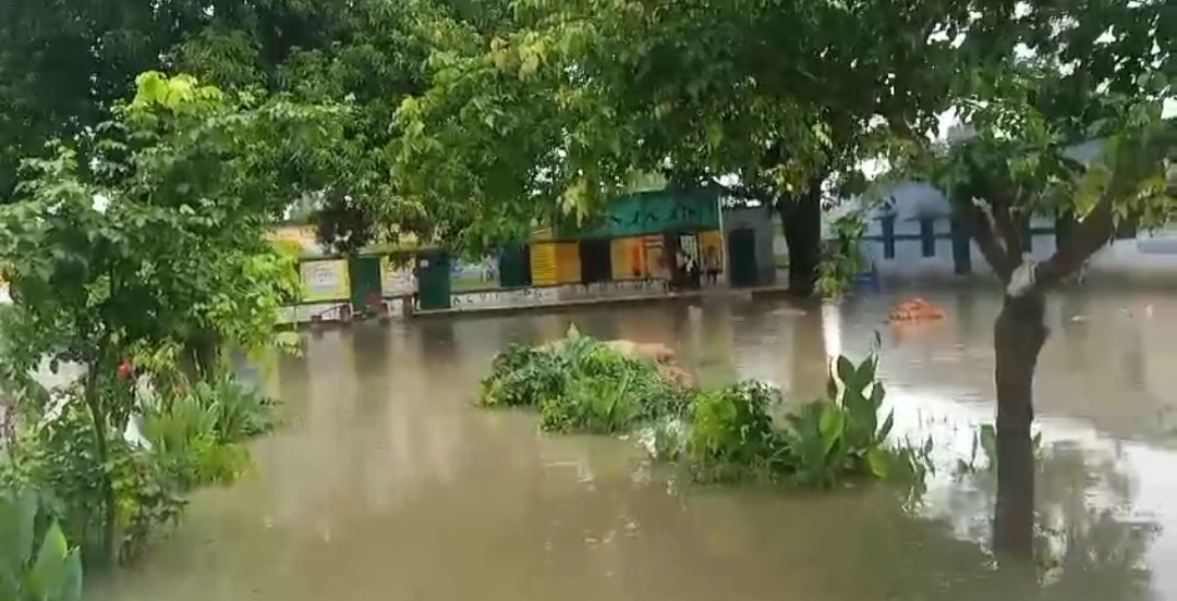 हरदोई में भारी बारिश से स्कूल बने तालाब*