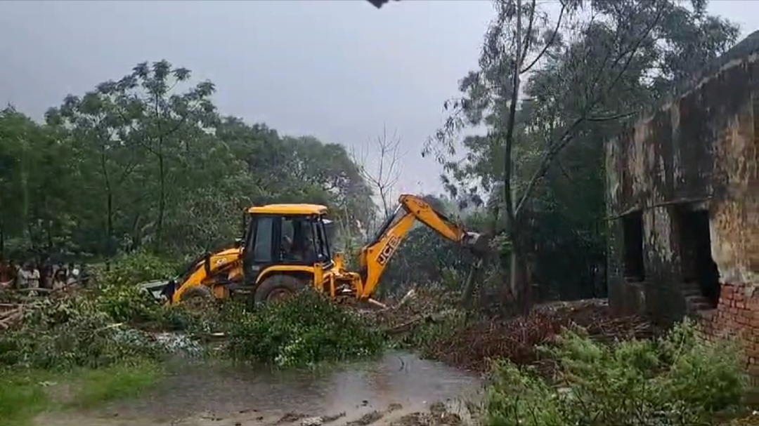 अवैध कब्जा हटाने गई जेसीबी ने हरे पेड़ को भी ढहाया, एसडीएम ने कहा होगी कार्यवाही