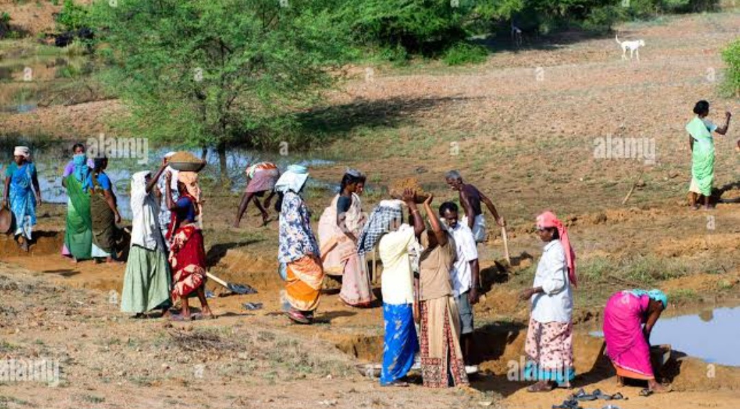 झमाझम होती रही बरसात, कागजों दौड़ती रही मनरेगा, मनरेगा में जिम्मेदारों ने बारिश में भी सृजित कर दिए मानव दिवस