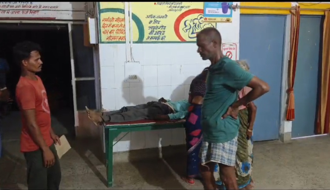 पेड़ की डाल टूटकर गिरने से अधेड़ की मौत