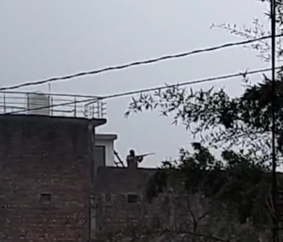 युवक ने छत पर चढ़कर की हवाई फायरिंग 
