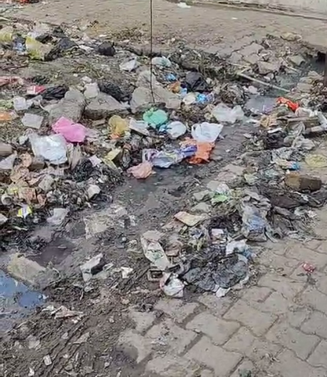 हरदोई नगर पालिका की सफाई व्यवस्था हुई ध्वस्त