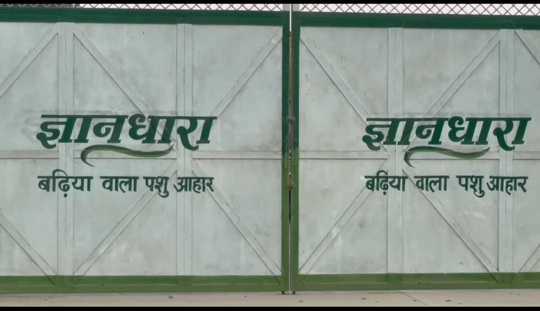 हरदोई जनपद में 21 दुधारू भैसों की हुई मौत,33 बीमार,ज्ञानधारा पशु आहार के वितरण व बिक्री पर DM ने लगाई रोक