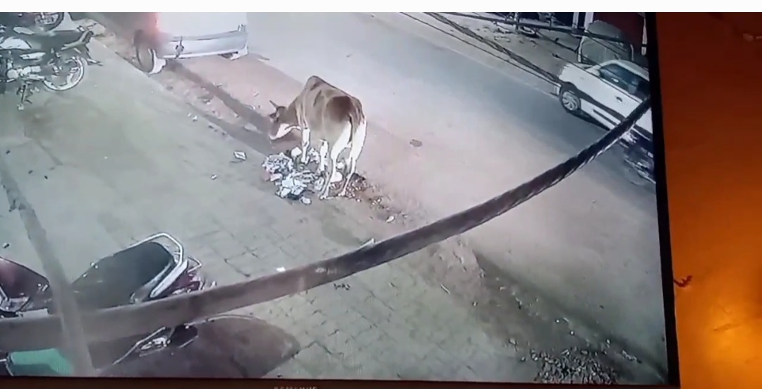 शराब के नशे में रोड के किनारे पड़े युवक पर दबंगो ने चढ़ाई कार