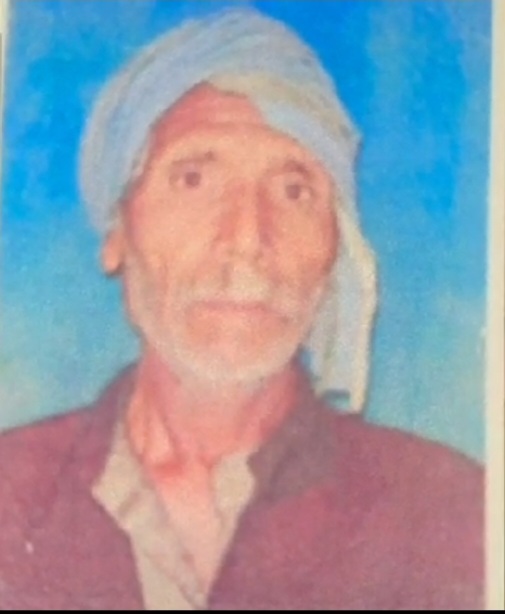 मधुमक्खियों के हमले में किसान की मौत, 33 से अधिक लोग घायल