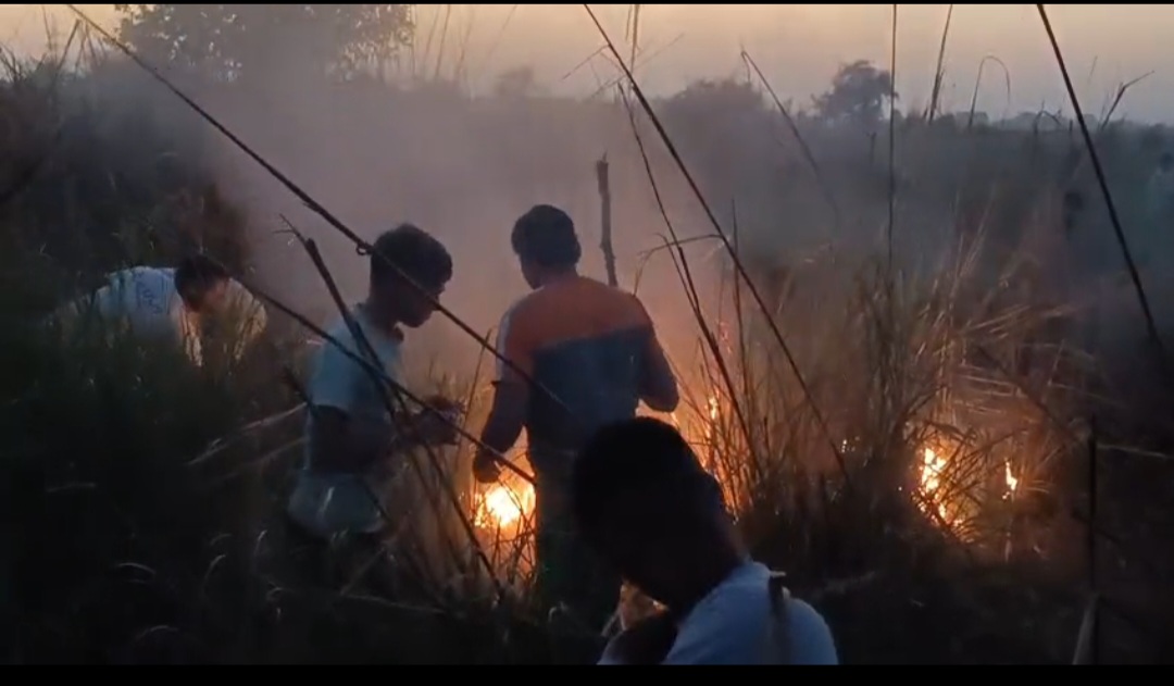 गर्रा नदी की तराई में अज्ञात कारणों से लगी आग,स्थानीय लोगों की सूझबूझ से बची गेहूं की फसल