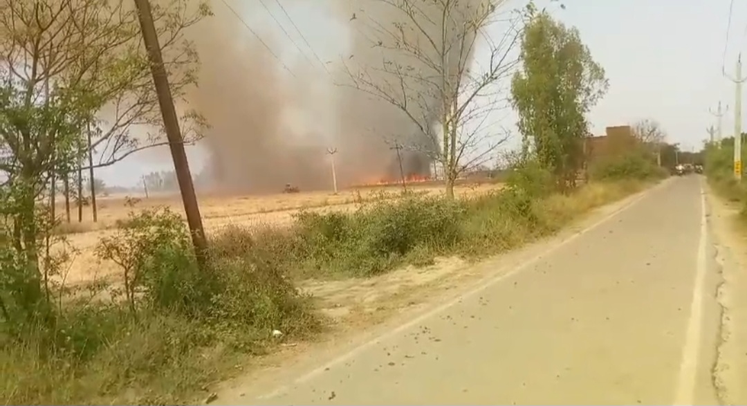 शाहाबाद क्षेत्र के आगमपुर में खड़ी गेहूं की फसल में लगी भयंकर आग