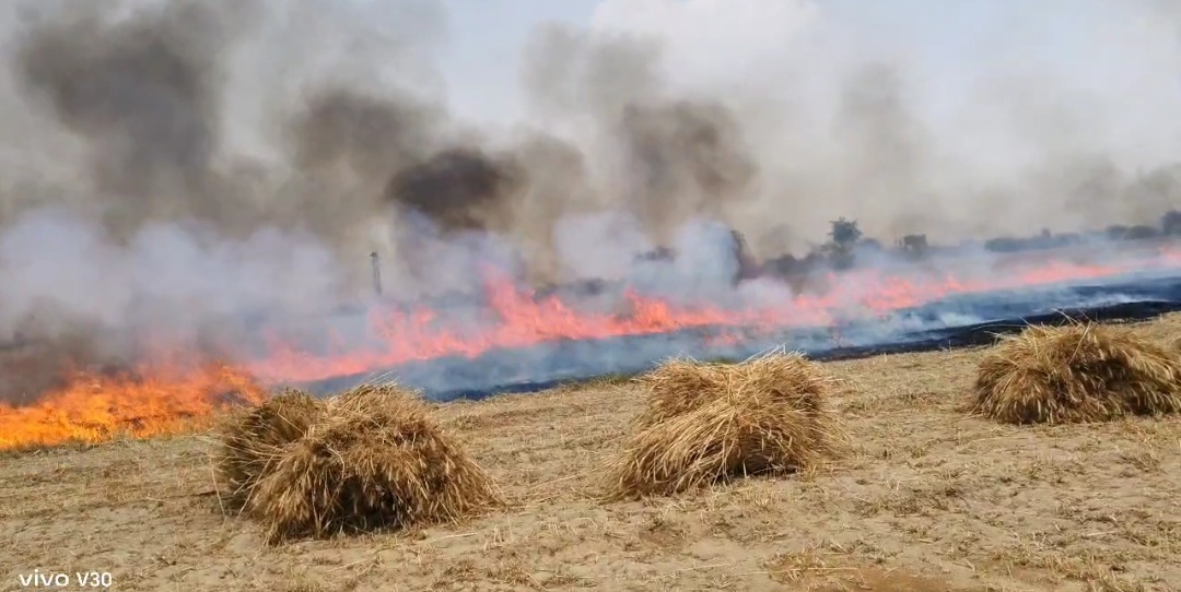 हरदोई में दो जगह लगी भीषण आग, किसानों की कई बीघा फसल जलकर राख