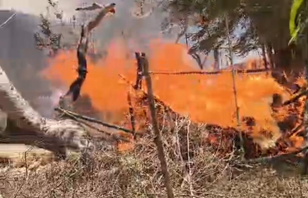 अज्ञात  कारणों से लगी आग- छः घर जलकर खाक