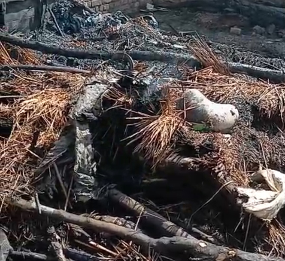 अज्ञात कारणों से लगी भीषण आग, दस घरों की गृहस्थी राख, दो मवेशी झुलसे