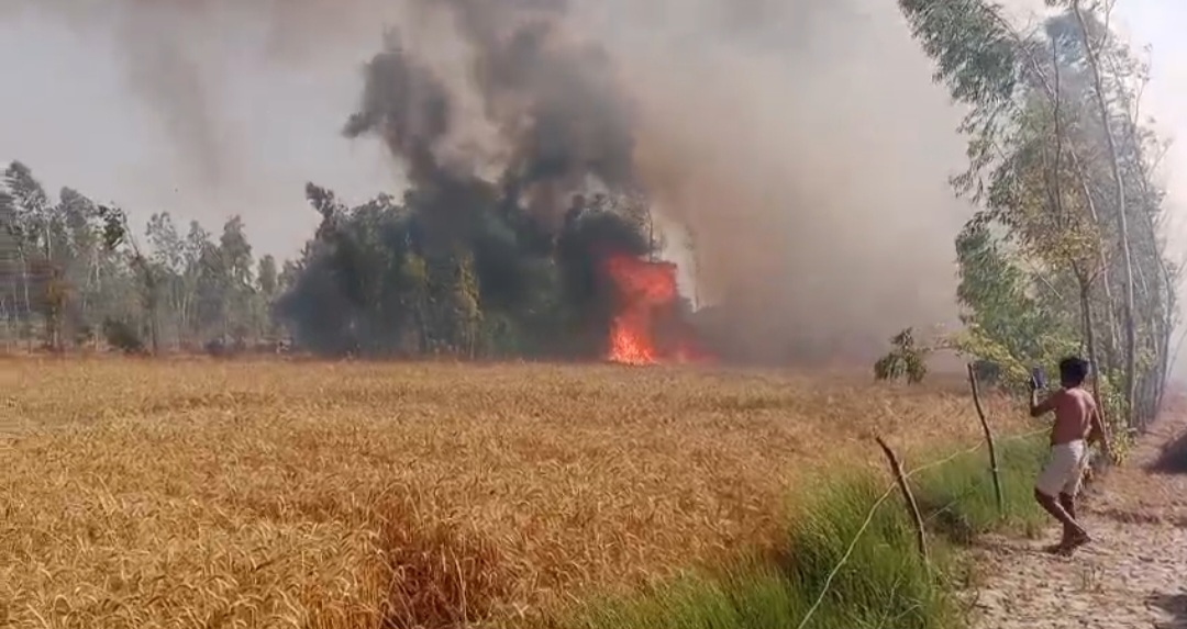 भीषण अग्निकांड में 15 किसानों की 25 बीघा गेहूं की फसल जलकर राख