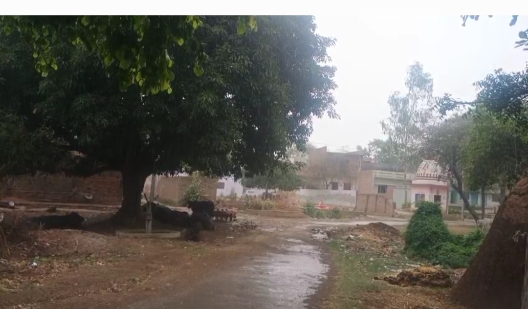 हरदोई में मौसम ने की करवट शुरू हुई वारिश, तापमान में आई कमी