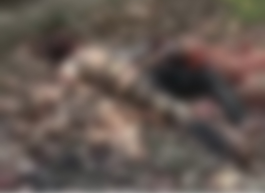 बाग में संदिग्ध हालात में मिले नवविवाहित दंपति, पत्नी की मौत, पति मरणासन्न, ईंट से कूचे गए सिर