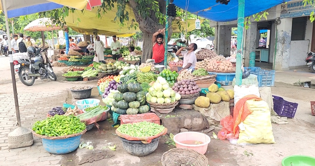 बारिश शुरू होते ही बिगड़ा थाली का बजट, हरी सब्जियां हुई महंगी, टमाटर दिखा रहा आंखे लाल