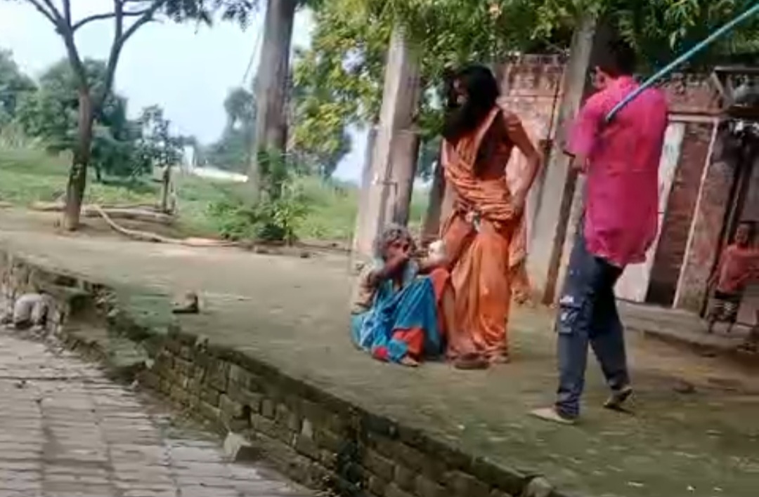 हरपालपुर में देवर-भाभी के बीच जमकर मारपीट, सास भी बनी शिकार, वीडियो वायरल