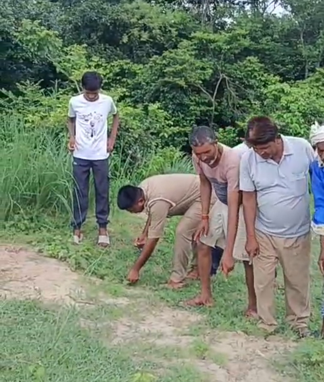 बाघ के हमले से नीलगाय की मौत, दहशत में ग्रामीण