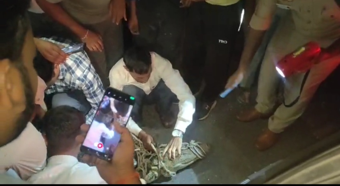 हरदोई में सड़क पर निकला मगरमच्छ, ग्रामीणों ने पकड़ा  वन विभाग देखता रहा तमाशा
